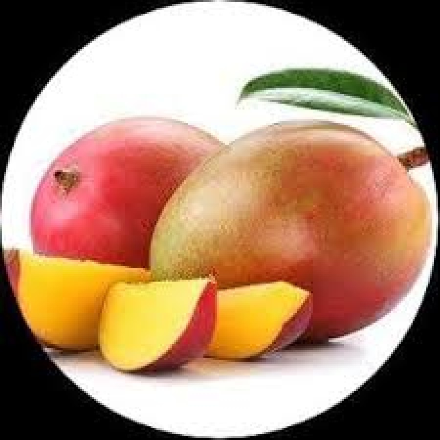 Malda mango